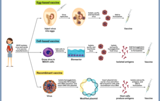 lower cost covid vaccine