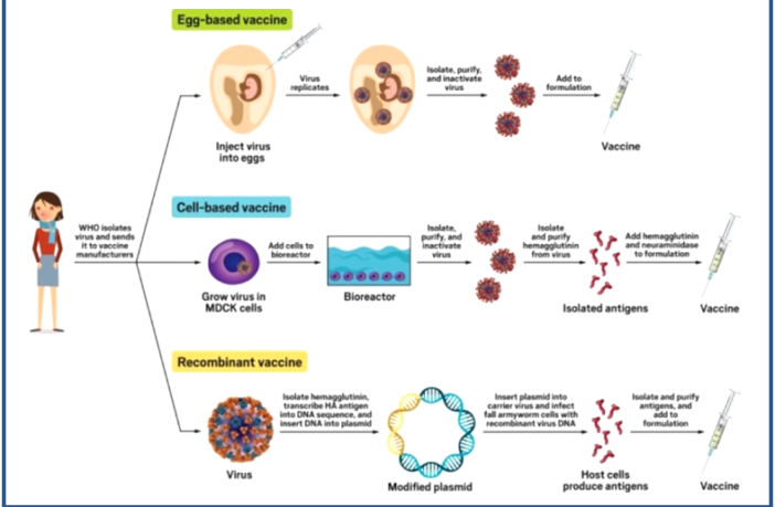 lower cost covid vaccine