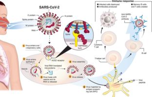 five signs the coronavirus spreads through air