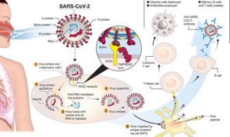five signs the coronavirus spreads through air