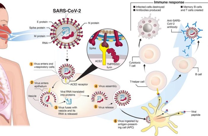 five signs the coronavirus spreads through air