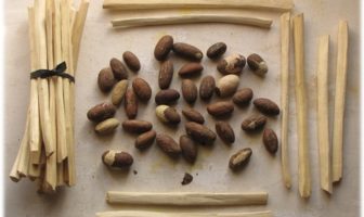 can a traditional herb calm a cytokine storm