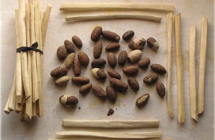 can a traditional herb calm a cytokine storm