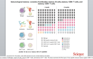 durable immunity against secondary covid