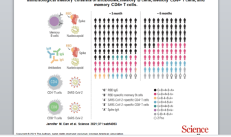 durable immunity against secondary covid