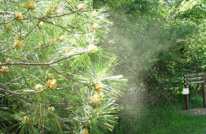 transmission from a distance is more likely