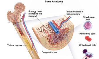 mild covid-19 could leave long protection