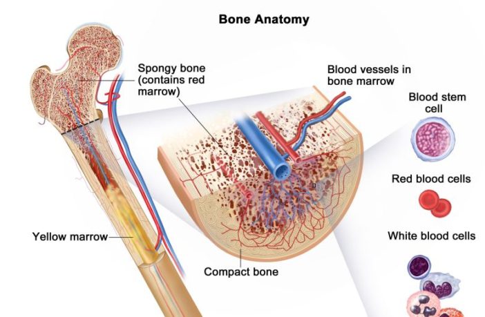 mild covid-19 could leave long protection