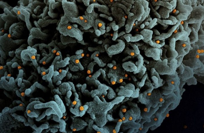 things we don’t yet know about delta