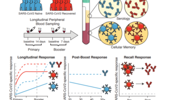 do I still need the vaccine