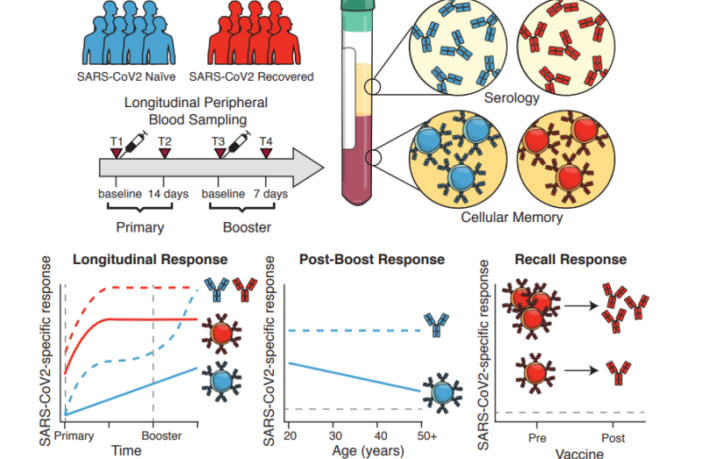 do I still need the vaccine