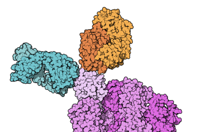 monoclonal therapy reducing covid deaths