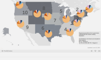 who regards delta a variant of concern