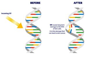 do covid virus live longer with sunscreen