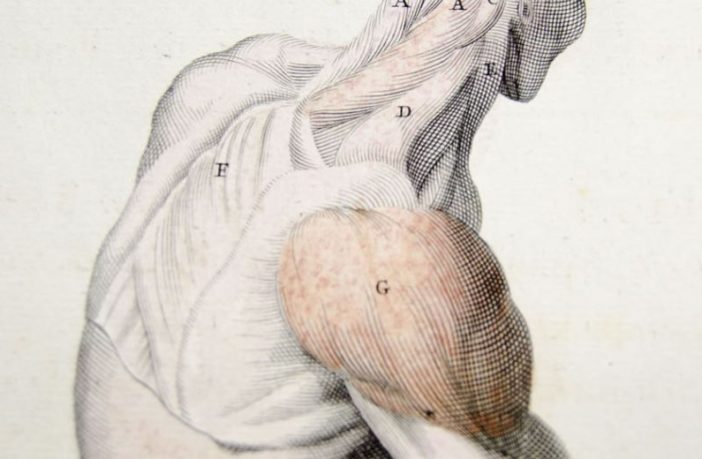 exercising a sore arm after vaccination