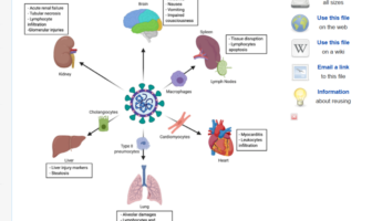 delta plus variant with noteworthy differences