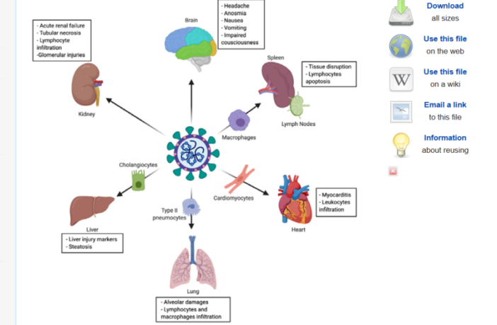 delta plus variant with noteworthy differences