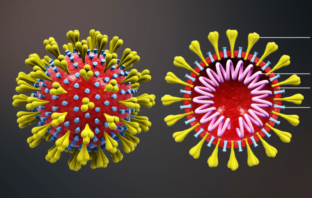 what makes a covid variant more infectious