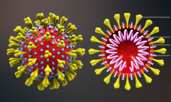 what makes a covid variant more infectious