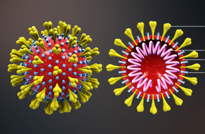 what makes a covid variant more infectious