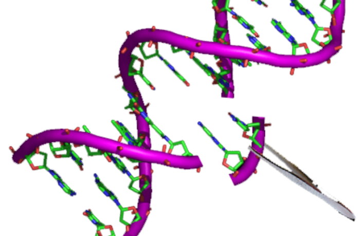 scientists block coronavirus replication in lab
