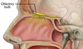 long covid memory loss is a concern