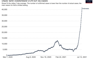 indonesia overtakes india as covid hotspot