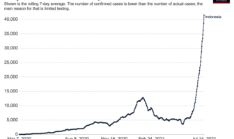 indonesia overtakes india as covid hotspot