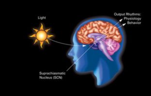 covid somnia
