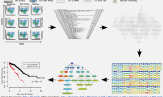 correlates of protection