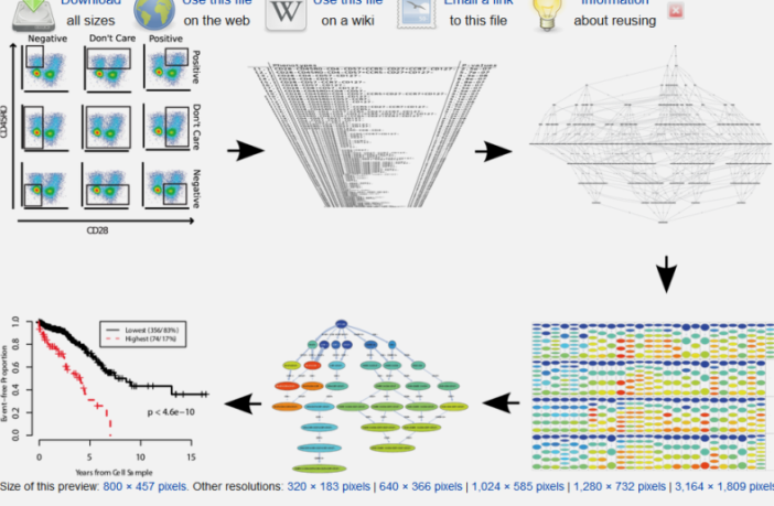 correlates of protection