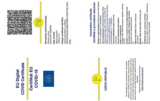 european union covid-19 vaccine passport