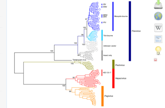 unfamiliar covid mutations