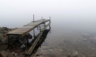 rogue antibodies in the blood