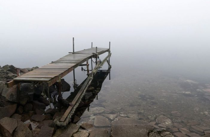 rogue antibodies in the blood