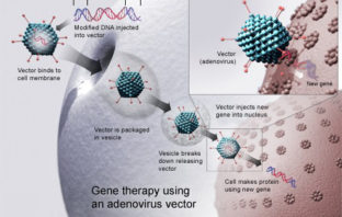 covid dna vaccine