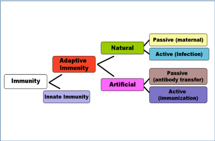 vaccine protection rates
