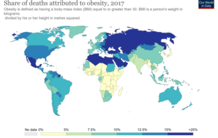 obesity and covid-19 make a deadly team