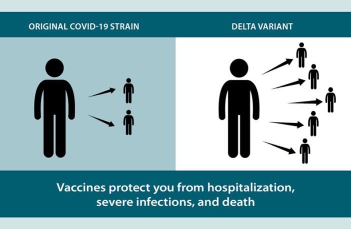 the delta variant dominating covid-19