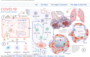 lasting lung damage from covid-19