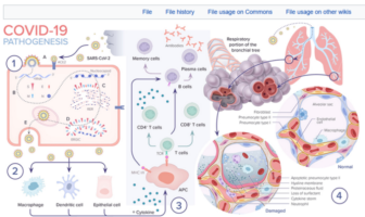 lasting lung damage from covid-19