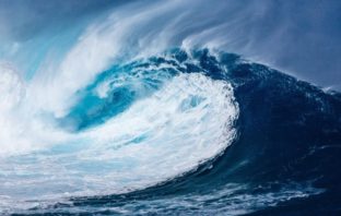 why the covid-19 surges in waves