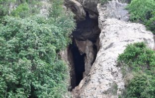 cambodia bat researchers