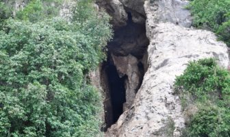 cambodia bat researchers
