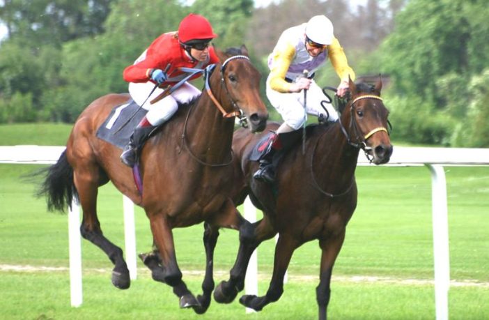 mrna vaccine effectiveness