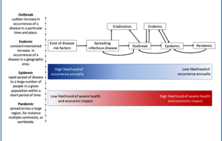 the endemic future of covid