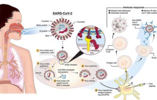 is covid infection better than a vaccine