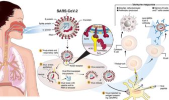 is covid infection better than a vaccine