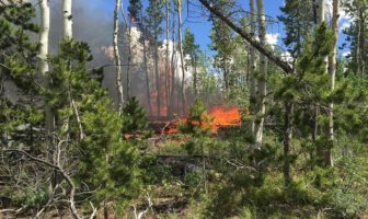 six months ahead in the covid-19 pandemic