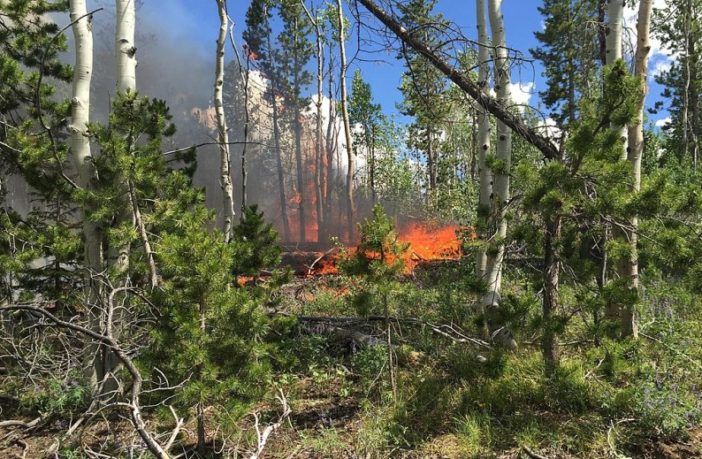 six months ahead in the covid-19 pandemic